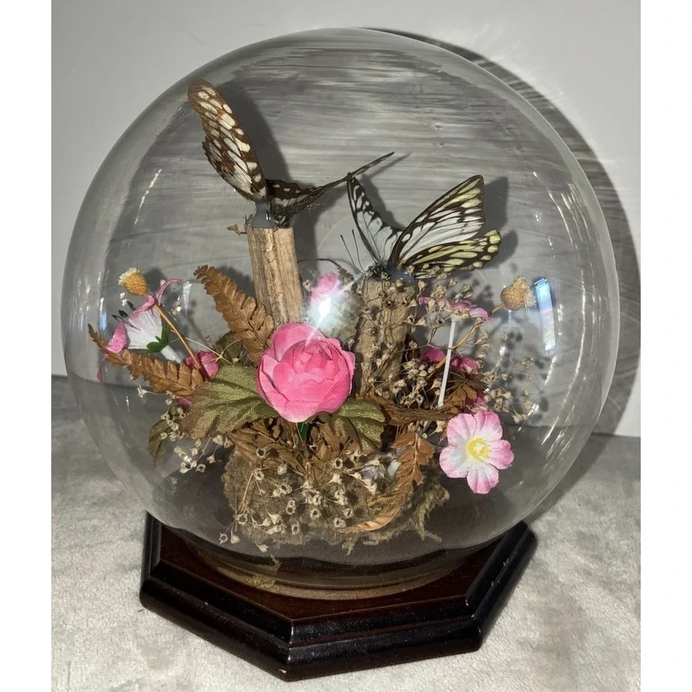 Vintage Butterfly Taxidermy Dried And Faux Pink Flowers In Glass Dome‎ Decor